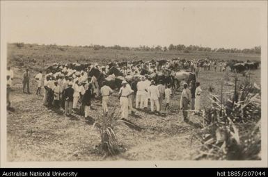 Lautoka Indian Agricultural Show