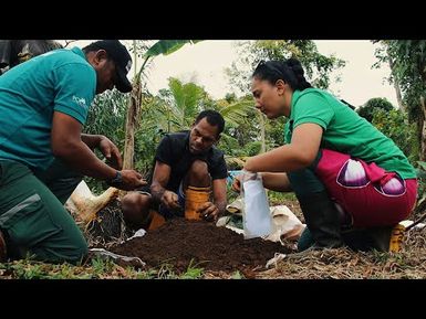 Celebrating Pacific Women in Agriculture: International Women's Day 2026
