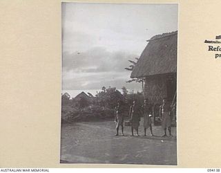 SANGARA, NEW GUINEA, 1945-07-05. ORIKIVA NATIVES EMPLOYED ON SANGARA RUBBER PLANTATION. KNOWN AS "MASONS" THIS PLANTATION WAS OCCUPIED BY THE JAPANESE ON THEIR WAY FROM POPONDETTA TO KOKODA