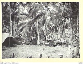 KALAI PLANTATION, NEW BRITAIN. 1945-03-07. STORES STACKED IN THE DUMP OF THE 15TH SUPPLY DEPOT PLATOON NEAR THE UNIT BEACHHEAD