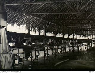 Lae, New Guinea. 1945-04-29. Interior view of Ward 1 of the 2/7th Australian General Hospital