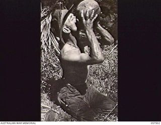 KAIAPIT, NEW GUINEA. 1943-09-22. VX14847 PRIVATE G. J. WHITE OF THE 2/6TH INDEPENDENT COMPANY ENJOYING A LONG DRINK FROM A COCONUT