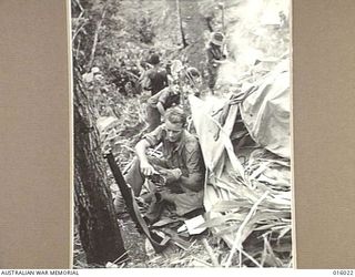 NEW GUINEA. UPPER RAMU VALLEY ADVANCE. A FORWARD POST IN THE RAMU VALLEY. SGT. J. MARSHALL OF SALE, VICTORIA, ONE OF THE SOLDIERS WHO PUSHED THE JAPANESE OFF THE RIDGE AT THIS POST