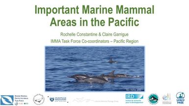 Important marine mammal areas in the Pacific