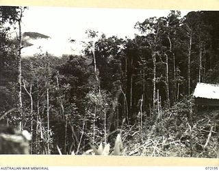 NEW GUINEA. 1944-04-03. THE VIEW FROM AN AUSTRALIAN FOX HOLE TOWARDS THE SOUTH OF JAP LADDER CAMP ON THE ROUTE FROM OWERS' CORNER TO NAURO, NOTED BY LIEUTENANT R. EWERS, OFFICIAL WAR ARTIST, ..
