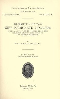 Description of two new pulmonate mollusks, with a list of other species from the Solomon Islands, collected by George H. Dorsey