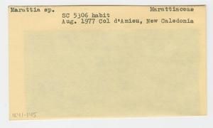 [Marattia in New Caledonia, envelope IE41-145]