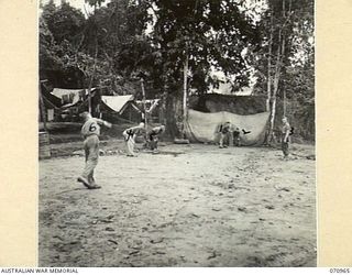 ZENAG, NEW GUINEA, 1944-02-28. A CRICKET MATCH AT NO.4 PLATOON, MECHANICAL EQUIPMENT COMPANY, IN THE TIMNE WATERS CAMP. THESE MEN HAVE NOT SEEN A PICTURE SHOW OR CONCERT FOR A YEAR. VX69607 SAPPER ..