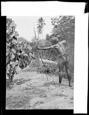Rear view of Manau, the Chinnery's house boy, firing a bow and arrow, Rabaul, New Guinea, ca. 1935, 2 / Sarah Chinnery