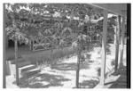 Hospital inner courtyard