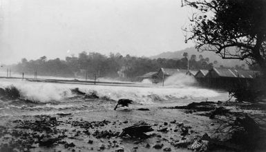 Hopkins, Sydney, fl 1920s : Buildings and shoreline being lashed by a hurricane, Rarotonga