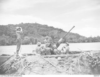 GODOWA, NEW GUINEA. 1943-11-05. TROOPS OF C TROOP, 2/3RD AUSTRALIAN LIGHT ANTI-AIRCRAFT BATTERY MANNING A 40MM BOFORS GUN ON ONE OF THEIR BEACH POSTS. SHOWN ARE, LEFT TO RIGHT: NX15905 SERGEANT J. ..