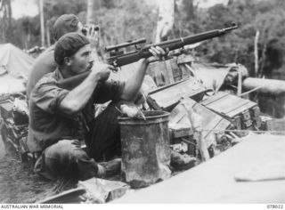 BOUGAINVILLE ISLAND. 1944-12-30. NX193912 PRIVATE T. HALL, 25TH INFANTRY BATTALION PICKING OFF A JAPANESE SNIPER IN A TALL TREE DURING THE AUSTRALIAN ADVANCE ON THE ENEMY POSITIONS IN THE ..