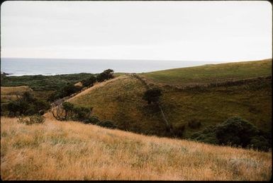 [Coastal landscape, Otago Peninsula]