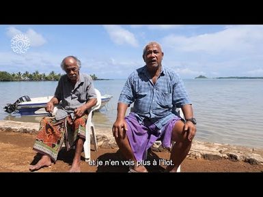 Renforcer la biosécurité inter-îles et dératiser les îlots de Wallis et Futuna