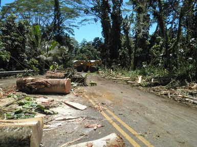 Trees, logs litter a Hawaii road in the wake of Tropical Storm Iselle on the Big Island of Hawaii in 2014.