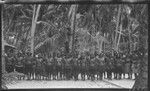 Women in front, men in back, children climbing tree