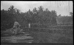 Group on wooden walkway