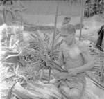 Making pandanus for thatch straight by drawing back and forth on pole