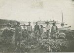 Bananas market, in Papeete, Tahiti