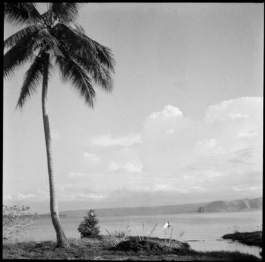 View across the harbour to the Beehives and Vulcan Island, Rabaul Harbour, New Guinea, 1937 / Sarah Chinnery