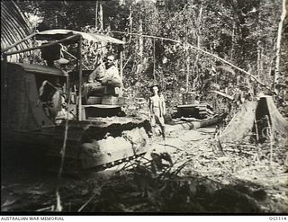 AITAPE, NORTH EAST NEW GUINEA. C. 1944-06. A BULLDOZER HAULS A LOG FROM THE MUD AND SLUSH OF THE NEW GUINEA JUNGLE WHERE NO. 7 MOBILE WORKS UNIT RAAF IS BUILDING A BRIDGE