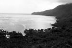 Fagaloa Bay, from road through to Falevau (panorama with image 4127)