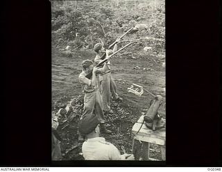 KIRIWINA, TROBRIAND ISLANDS, PAPUA. 1944-02-17. FIGHTER PILOTS OF NO. 76 (KITTYHAWK) SQUADRON RAAF KEEP THEIR EYE IN SHOOTING AT CLAY PIGEONS WITH SHOT GUNS WHILE ON "STANDBY". LEFT: SERGEANT (SGT) ..