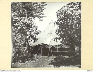 LAE, NEW GUINEA. 1943-12. THE EVACUATION WARD AT THE STRIP ADVANCED DRESSING STATION 10TH FIELD AMBULANCE, AUSTRALIAN ARMY MEDICAL CORPS