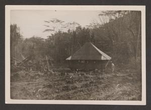 [Tent in Forest Clearing]