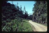 New Guinea between Bulolo and Wau