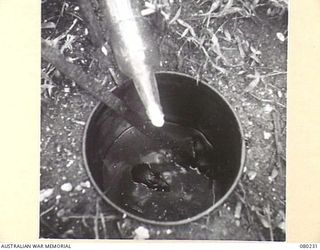 ALEXISHAFEN, NEW GUINEA. 1944-07. AN INGENIOUS RAT TRAP USED TO PREVENT THE SPREAD OF TYPHUS FROM ADJOINING AREAS TO HEADQUARTERS 8TH INFANTRY BRIGADE. THE BOTTLE, NECK STUFFED WITH CHEESE, IS ..