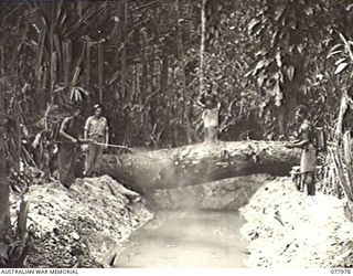 WUNUNG PLANTATION, NEW BRITAIN. 1944-12-30. NX162766 CORPORAL W. WHYTE, 28TH MALARIA CONTROL UNIT, SUPERVISING A NATIVE GANG SPRAYING A STAGNANT CREEK POOL TO DESTROY MOSQUITOES