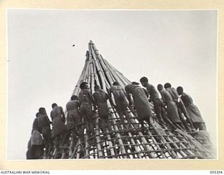 KIARIVU, WEWAK AREA, NEW GUINEA, 1945-08-12. AUSTRALIAN NEW GUINEA ADMINISTRATIVE UNIT NATIVES AT WORK ON THE CIRCULAR ROOF OF THE UNIT TO BE USED AS AUSTRALIAN NEW GUINEA ADMINISTRATIVE UNIT ..