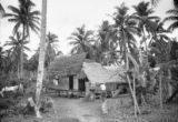 Guam, man outside home surrounded by palm trees