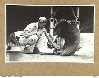 DREGER, FINSCHHAFEN AREA, NEW GUINEA. 1944-01-19. 0729271 FIRST LIEUTENANT J.G. TULEY OF THE UNITED STATES AIR FORCE, EXAMINING THE UNDERCARRIAGE OF HIS DOUGLAS AIRCRAFT AFTER HIS PORT TYRE BLEW ..