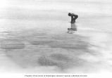 Arthur D. Welander collecting poisoned fish in the reef surrounding Enjebi Island, summer 1964