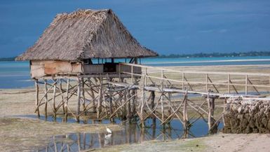 ?South Tarawa