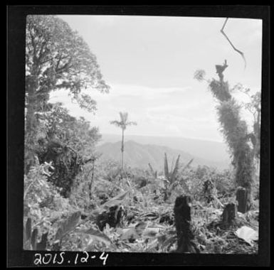 Bougainville Island