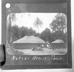 Native Houses Tahiti