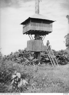 Lieutenant Haupt, who apparently likes living up a tree.   This unique house was constructed during spare time over the period of one month