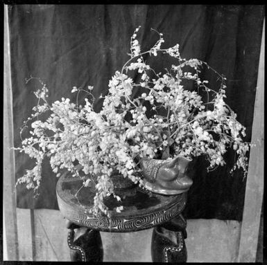 Antigonon in a bowl on a Trobriand Island stool, Rabaul, New Guinea, ca. 1936 / Sarah Chinnery