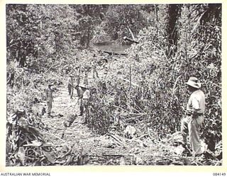 JACQUINOT BAY, NEW BRITAIN. 1944-12-06. 1 INFANTRY TROOP WORKSHOP PERSONNEL MAKING A TRACK THROUGH THE JUNGLE TO THE KULMALAIGI RIVER