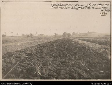 Double disc plough with Holt tractor