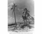 Beach showing wreckage from Operation Crossroads, Bikini or Enyu Island, 1947