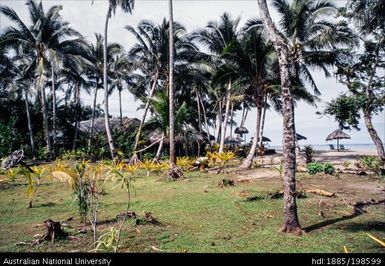 Samoa - house on beach