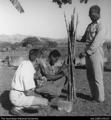 Juice analysis, Rarawai Mill