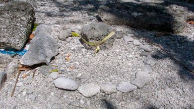 Tarawa ?eita South Tarawa eita st bangota