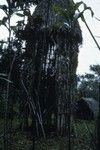 A ritual structure