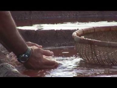 PBS Hawaii - HIKI NŌ Episode 506 | Waimea Canyon Middle School | Making a Salt Bed